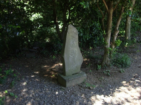 230622CIMG8494.jpg