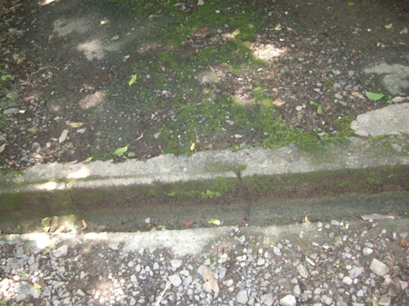 230622CIMG8506.jpg
