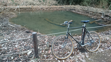 201301262.jpg