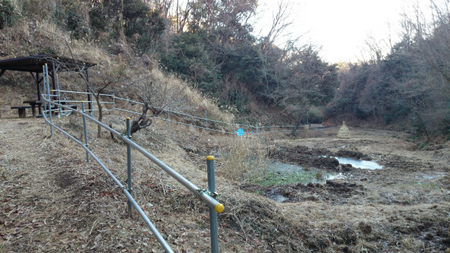 201301264.jpg