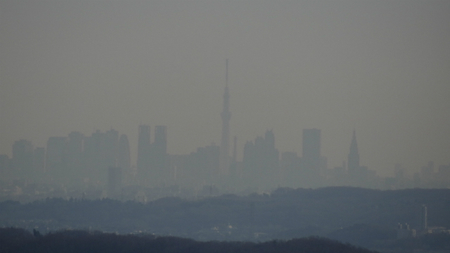 201301268.jpg