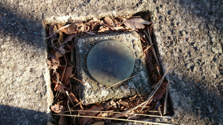 201301269.jpg