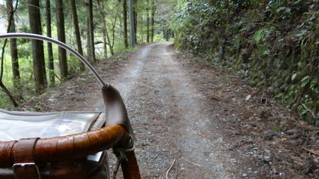 20130410 DSC05032.jpg