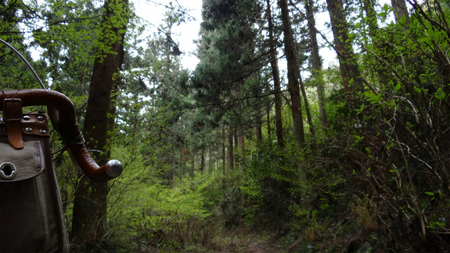 20130410 DSC05040.jpg