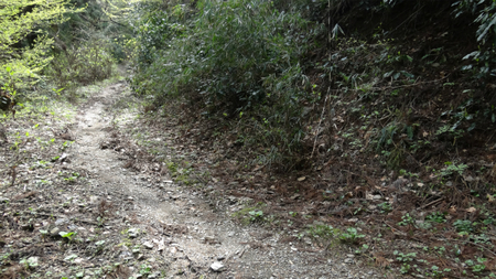 20130410 DSC05046.jpg