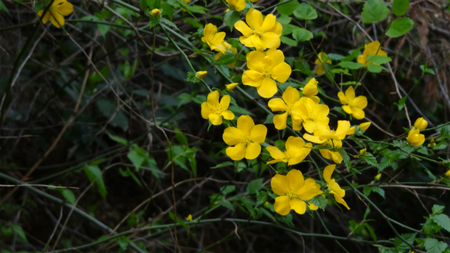 20130410 DSC05053.jpg