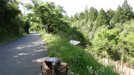 20130515 DSC05319.jpg