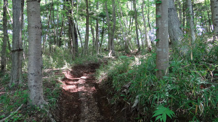 20130515 DSC05332.jpg