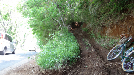20130515 DSC05336.jpg