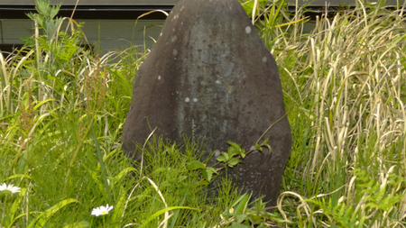 20130515 DSC05344.jpg