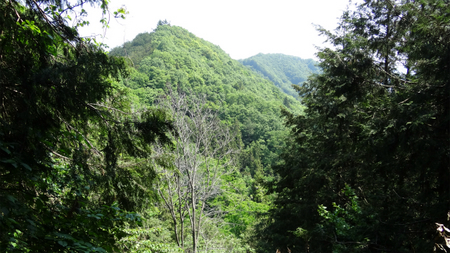 20130515 DSC05353.jpg