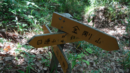 20130515 DSC05357.jpg
