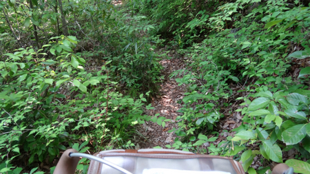 20130515 DSC05365.jpg