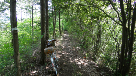 20130515 DSC05368.jpg
