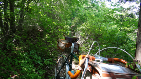 20130515 DSC05370.jpg