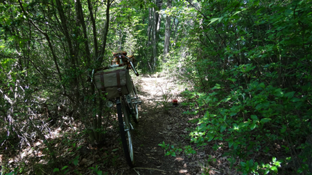 20130515 DSC05371.jpg