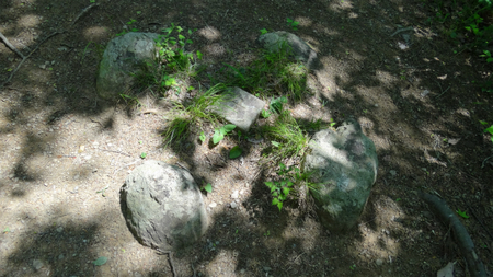 20130515 DSC05381.jpg