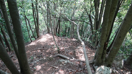 20130515 DSC05382.jpg