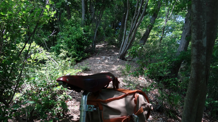 20130515 DSC05383.jpg