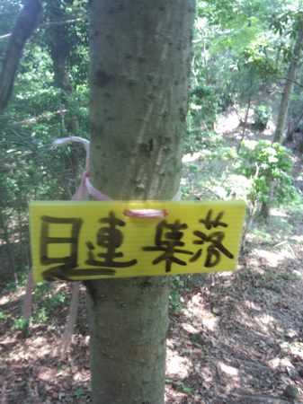 20130515 DSC_0313.jpg
