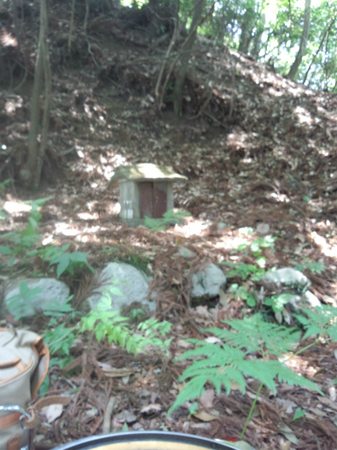 20130515 DSC_0317.jpg
