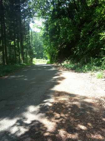 20130515 DSC_0330.jpg