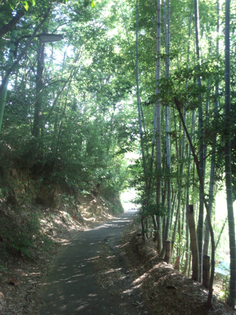 20130804町田 ランドナー 里 谷戸IMG_20130807_072601.jpg