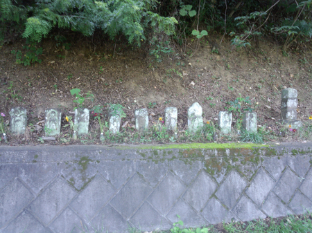 20130804町田 ランドナー 里 谷戸IMG_20130807_072925.jpg