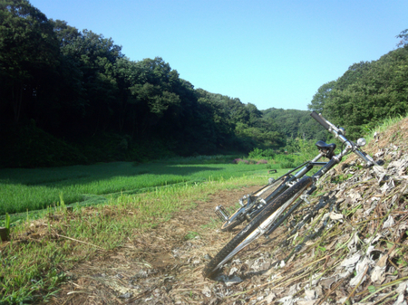 20130804町田 ランドナー 里 谷戸IMG_20130807_073234.jpg