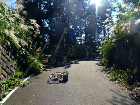 20130918宮ケ瀬P9180931.jpg