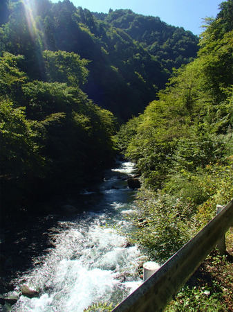 20130918宮ケ瀬P9180959.jpg