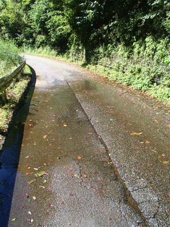 20130918宮ケ瀬P9180962.jpg