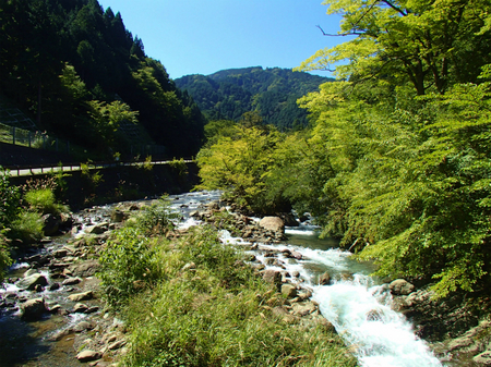 20130918宮ケ瀬P9180963.jpg