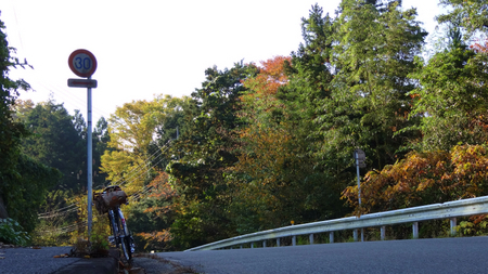 20131106綱子DSC06216.jpg