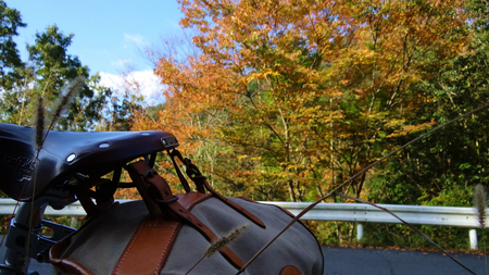 20131106綱子DSC06222.jpg