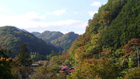 20131106綱子DSC06226.jpg