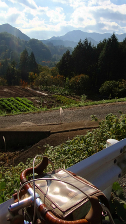 20131106綱子DSC06242.jpg