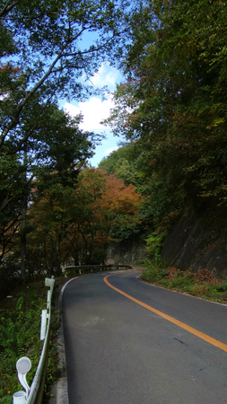 20131106綱子DSC06244.jpg