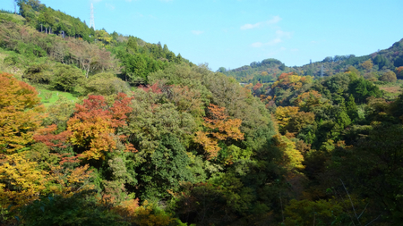 20131106綱子DSC06247.jpg