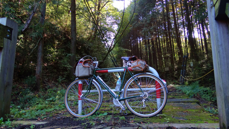 20131106綱子DSC06265.jpg