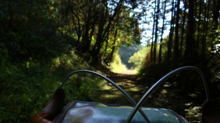 20131106綱子DSC06268.jpg