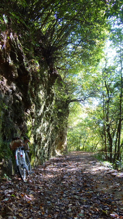 20131106綱子DSC06270.jpg