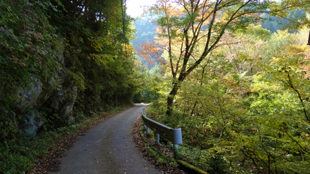 20131106綱子DSC06273.jpg