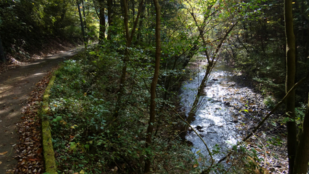 20131106綱子DSC06276.jpg