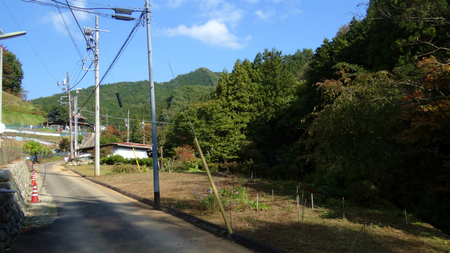 20131106綱子DSC06285.jpg