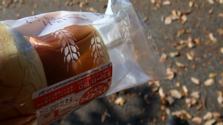 20131106綱子DSC06292.jpg
