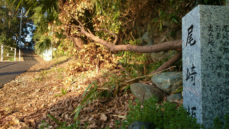 20140319DSC_0179.jpg
