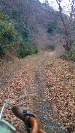 20140319DSC_0204.jpg