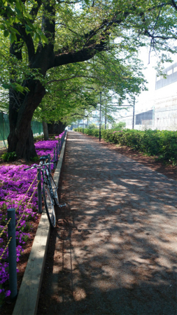 20140425DSC_0303.jpg