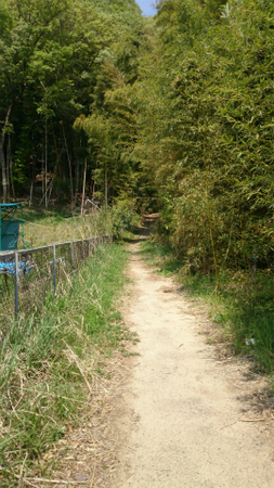 20140425DSC_0312.jpg